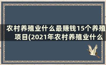 农村养殖业什么最赚钱15个养殖项目(2021年农村养殖业什么最赚)