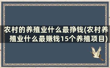 农村的养殖业什么最挣钱(农村养殖业什么最赚钱15个养殖项目)