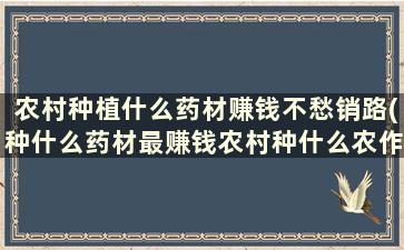 农村种植什么药材赚钱不愁销路(种什么药材最赚钱农村种什么农作物)