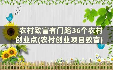 农村致富有门路36个农村创业点(农村创业项目致富)