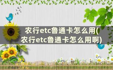 农行etc鲁通卡怎么用(农行etc鲁通卡怎么用啊)