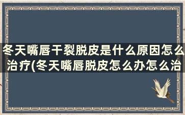 冬天嘴唇干裂脱皮是什么原因怎么治疗(冬天嘴唇脱皮怎么办怎么治疗)