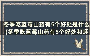 冬季吃蓝莓山药有5个好处是什么(冬季吃蓝莓山药有5个好处和坏处)