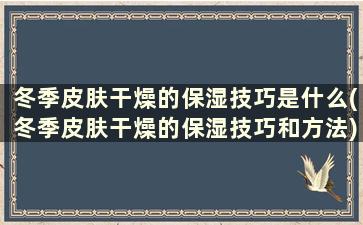 冬季皮肤干燥的保湿技巧是什么(冬季皮肤干燥的保湿技巧和方法)