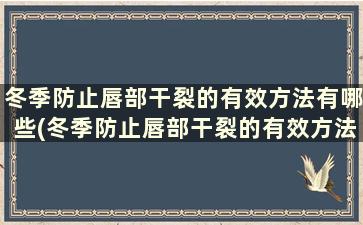 冬季防止唇部干裂的有效方法有哪些(冬季防止唇部干裂的有效方法是什么)