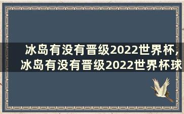 冰岛有没有晋级2022世界杯,冰岛有没有晋级2022世界杯球员