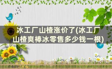 冰工厂山楂涨价了(冰工厂山楂爽棒冰零售多少钱一根)