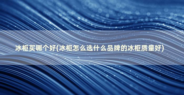 冰柜买哪个好(冰柜怎么选什么品牌的冰柜质量好)