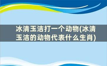 冰清玉洁打一个动物(冰清玉洁的动物代表什么生肖)