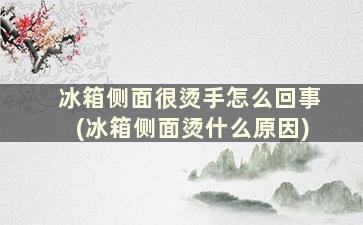 冰箱侧面很烫手怎么回事(冰箱侧面烫什么原因)