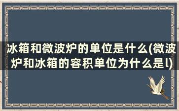 冰箱和微波炉的单位是什么(微波炉和冰箱的容积单位为什么是l)