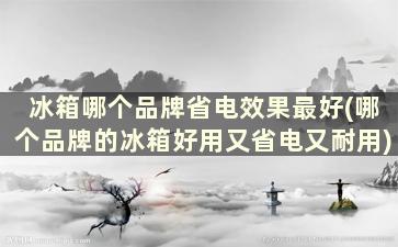 冰箱哪个品牌省电效果最好(哪个品牌的冰箱好用又省电又耐用)