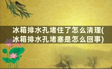 冰箱排水孔堵住了怎么清理(冰箱排水孔堵塞是怎么回事)