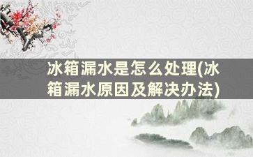 冰箱漏水是怎么处理(冰箱漏水原因及解决办法)