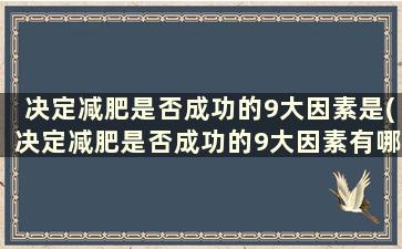 决定减肥是否成功的9大因素是(决定减肥是否成功的9大因素有哪些)