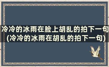 冷冷的冰雨在脸上胡乱的拍下一句(冷冷的冰雨在胡乱的拍下一句)