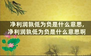 净利润孰低为负是什么意思,净利润孰低为负是什么意思啊