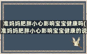 准妈妈肥胖小心影响宝宝健康吗(准妈妈肥胖小心影响宝宝健康的说说)