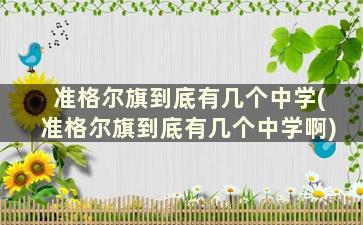 准格尔旗到底有几个中学(准格尔旗到底有几个中学啊)