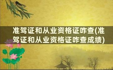 准驾证和从业资格证咋查(准驾证和从业资格证咋查成绩)