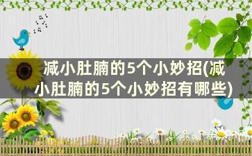 减小肚腩的5个小妙招(减小肚腩的5个小妙招有哪些)