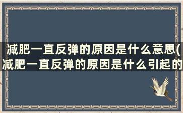 减肥一直反弹的原因是什么意思(减肥一直反弹的原因是什么引起的)