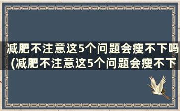 减肥不注意这5个问题会瘦不下吗(减肥不注意这5个问题会瘦不下去吗)