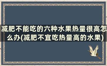 减肥不能吃的六种水果热量很高怎么办(减肥不宜吃热量高的水果)