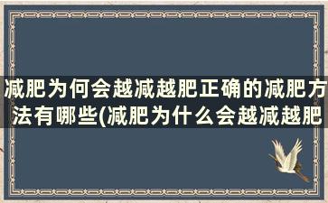 减肥为何会越减越肥正确的减肥方法有哪些(减肥为什么会越减越肥)