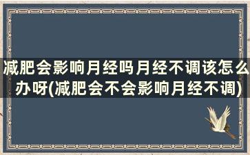 减肥会影响月经吗月经不调该怎么办呀(减肥会不会影响月经不调)