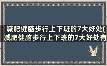 减肥健脑步行上下班的7大好处(减肥健脑步行上下班的7大好处有哪些)