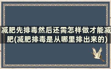 减肥先排毒然后还需怎样做才能减肥(减肥排毒是从哪里排出来的)