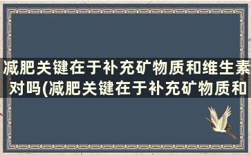 减肥关键在于补充矿物质和维生素对吗(减肥关键在于补充矿物质和维生素对不对)