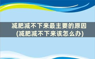 减肥减不下来最主要的原因(减肥减不下来该怎么办)