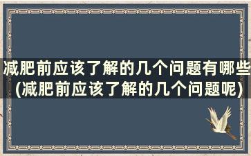 减肥前应该了解的几个问题有哪些(减肥前应该了解的几个问题呢)