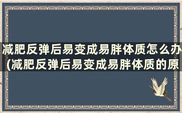 减肥反弹后易变成易胖体质怎么办(减肥反弹后易变成易胖体质的原因)