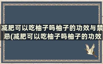 减肥可以吃柚子吗柚子的功效与禁忌(减肥可以吃柚子吗柚子的功效是什么)