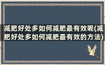 减肥好处多如何减肥最有效呢(减肥好处多如何减肥最有效的方法)