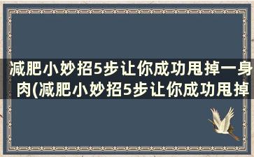 减肥小妙招5步让你成功甩掉一身肉(减肥小妙招5步让你成功甩掉一身肉)