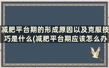 减肥平台期的形成原因以及克服技巧是什么(减肥平台期应该怎么办)