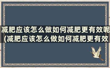 减肥应该怎么做如何减肥更有效呢(减肥应该怎么做如何减肥更有效)