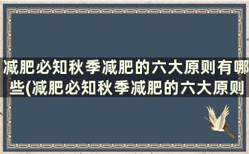 减肥必知秋季减肥的六大原则有哪些(减肥必知秋季减肥的六大原则是)