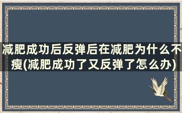 减肥成功后反弹后在减肥为什么不瘦(减肥成功了又反弹了怎么办)