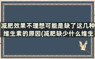 减肥效果不理想可能是缺了这几种维生素的原因(减肥缺少什么维生素)