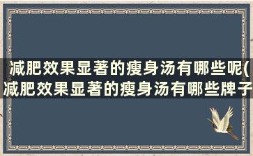 减肥效果显著的瘦身汤有哪些呢(减肥效果显著的瘦身汤有哪些牌子)