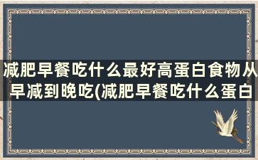 减肥早餐吃什么最好高蛋白食物从早减到晚吃(减肥早餐吃什么蛋白质含量高)