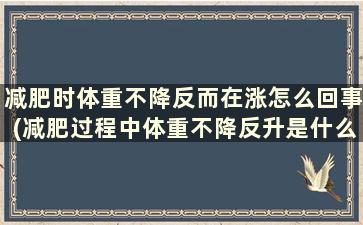 减肥时体重不降反而在涨怎么回事(减肥过程中体重不降反升是什么原因)