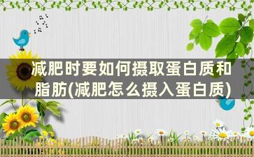 减肥时要如何摄取蛋白质和脂肪(减肥怎么摄入蛋白质)