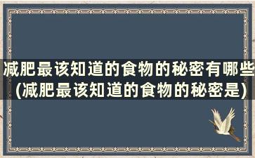 减肥最该知道的食物的秘密有哪些(减肥最该知道的食物的秘密是)