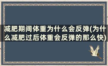 减肥期间体重为什么会反弹(为什么减肥过后体重会反弹的那么快)